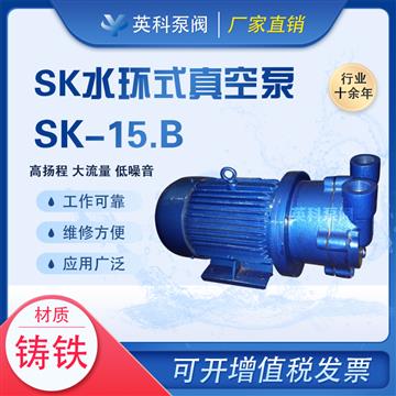 直聯(lián)式水環(huán)真空泵 4KW